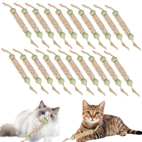 Katzenminze Sticks, Zahnpflege Katzen, Katzenspielzeug, Katzenminze Spielzeug Katzen Kauhölzer Sticks für Katzen Zahnpflege & Gegen Mundgeruch Natürlich Sicher Katzensticks Kausticks Set (20 Stück) von Recitem