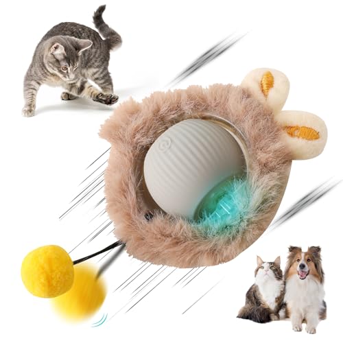 Recitem Interaktives Katzenspielzeug Ball – Elektrisches Spielzeug für Katzen, Selbstbewegend, Fast rollend, Widerstandsfähig, Fördert Jagdinstinkt und Bewegung für Indoor-Katzen (Grau) von Recitem