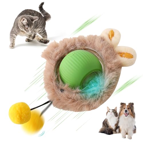 Recitem Interaktives Katzenspielzeug Ball – Elektrisches Spielzeug für Katzen, Selbstbewegend, Fast rollend, Widerstandsfähig, Fördert Jagdinstinkt und Bewegung für Indoor-Katzen (Grün) von Recitem