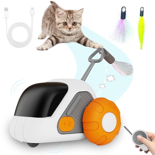 Recitem Interaktives Katzenspielzeug Selbstbeschäftigung, Intelligenzspielzeug für Katzen Elektrisch, SmartyFlip Cat Toy, Spielzeug für Katzen USB Aufladbar, Katzenbeschäftigung (Orange) von Recitem