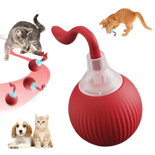 Recitem Interaktives Katzenspielzeug & Hundeball – Automatischer Smart Teasing Ball für Katzen und Hunde, USB Wiederaufladbar, Selbstrollendes Spielzeug für Indoor-Beschäftigung (Rot) von Recitem