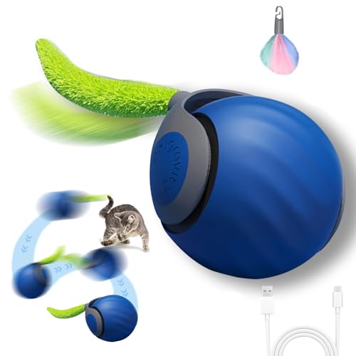 Recitem Katzenspielzeug, Katzenspielzeug Selbstbeschäftigung, Intelligentes Interaktives Katzenspielzeug, Elektrisches Katzenspielzeug Ball, USB Wiederaufladbar, Katzenball Elektrisch (Blau) von Recitem