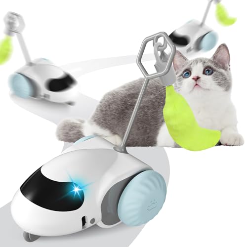 Smartyflip Katzenspielzeug, 2-Geschwindigkeiten leise Design Katzenspielzeug Selbstbeschäftigung, Interaktives Katzenspielzeug, Spielzeug Katze, Katzenspielzeug Elektrisch USB Aufladbar (Blau) von Recitem