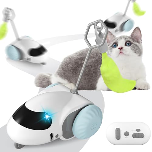 Smartyflip Katzenspielzeug, 2-Geschwindigkeiten leise Design Katzenspielzeug Selbstbeschäftigung, Interaktives Katzenspielzeug, Spielzeug Katze, Katzenspielzeug Elektrisch USB Aufladbar (Orange + FB) von Recitem