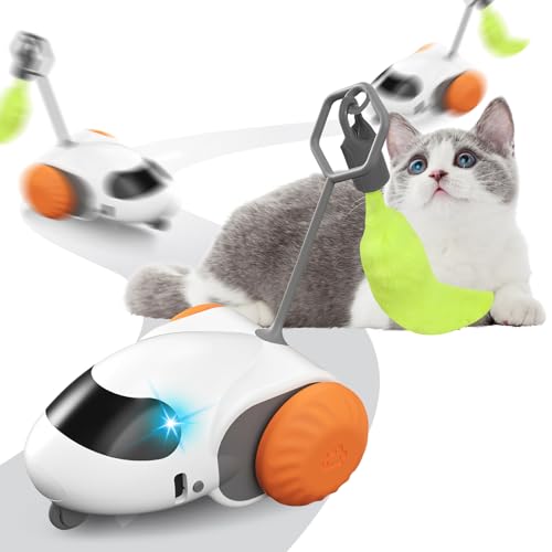 Smartyflip Katzenspielzeug, 2-Geschwindigkeiten leise Design Katzenspielzeug Selbstbeschäftigung, Interaktives Katzenspielzeug, Spielzeug Katze, Katzenspielzeug Elektrisch USB Aufladbar (Orange Farbe) von Recitem