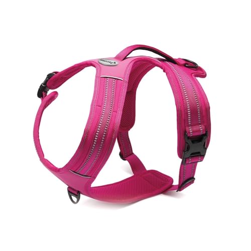 Record Action Alpi Hundegeschirr aus gewebtem Nylon mit 3M ScotchLite reflektierenden Bändern | Farbe Fuchsia, Größe L, Umfang 70-95 cm von Record