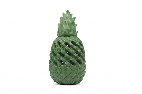 Record Ananas Power Hundespielzeug aus Naturkautschuk, mit Flasche aus recyceltem Kunststoff im Inneren, sehr robust von Record