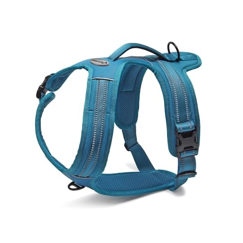 Record Hundegeschirr Action Alpi aus gewebtem Nylon mit 3M ScotchLite-Reflektorbandern | Farbe Blau, Größe S, Umfang 48-57 cm von Record