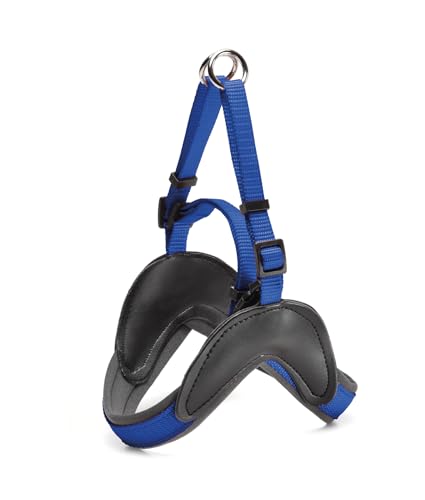 Record Hundegeschirr Easy verstellbar aus gepolstertem Nylon mit Neopren Innenfutter.Ideal für den täglichen Gebrauch | Farbe Blau, Größe XS, Umfang 35-45 cm von Record