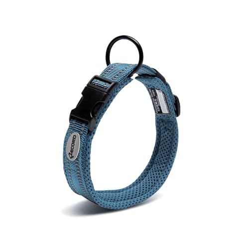 Record - Hundehalsband Ande – aus strapazierfähigem Nylon – reflektierende Details – Verschlussclip aus Kunststoff – Farbe Blau – Größe XXL – 2,5 cm – Umfang 55 – 60 cm von Record