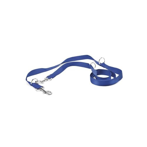 Record Trainingsleine für Hunde aus Nylon mit Metallkarabiner | Farbe Blau, Größe L - 2,3 cm, Länge - 220 cm von Record