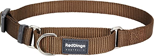 Red Dingo Classic Martingale Dog Collar, Small, Brown von Red Dingo