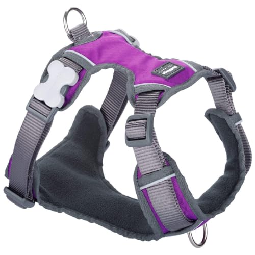 Red Dingo Dingo Hundegeschirr, 25-36 cm, 31-43 cm, Violett, Größe XS von Red Dingo