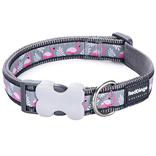 Red Dingo Bucklebone-Hundehalsband-Design, Flamingo-Grau, Größe S, 15 mm von Red Dingo