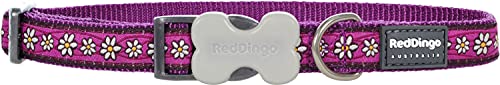 Red Dingo Hundehalsband, gemustert, Größe S, 1,5 x 24–37 cm, Violett mit Gänseblümchen von Red Dingo