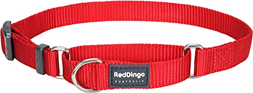 Red Dingo Hundehalsband, Größe S, 25–39 cm x 15 mm von Red Dingo