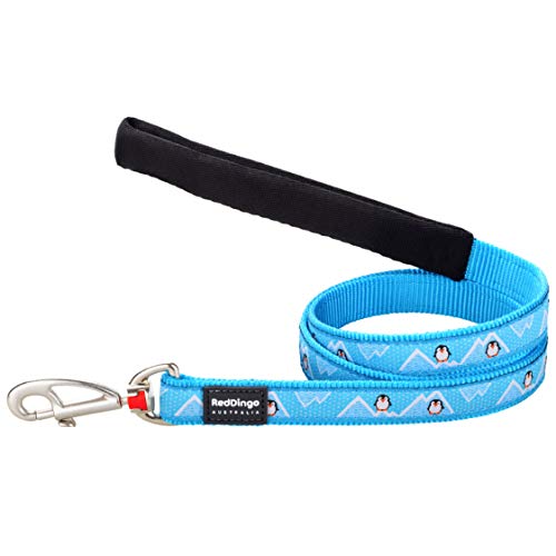 Red Dingo Padded Handle Dog Lead 1.2m Design. Penguin Turquoise, Medium 20mm von Red Dingo