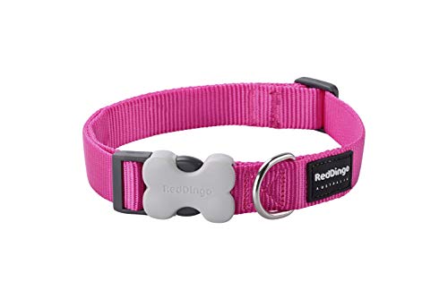 Red Dingo Nylon Hundehalsband, hot pink, S (DC-ZZ-HP-15) von Red Dingo