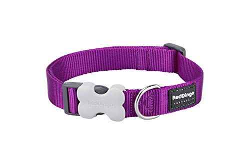 Red Dingo Nylon Hundehalsband, violett, L (DC-ZZ-PU-LG) von Red Dingo