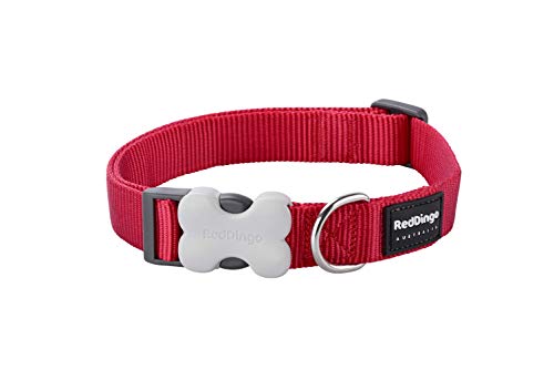 Trilus DC-ZZ-RE-SM Nylon Hundehalsband, rot, XS von Red Dingo