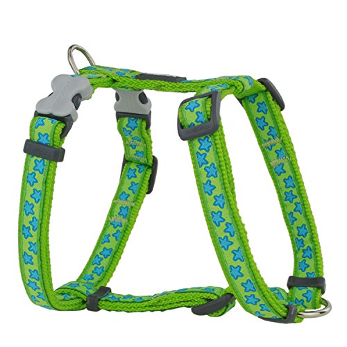 Red Dingo Nylon Hundegeschirr, Sterne, Lime Grün, S (DH-ST-LG-15) von Red Dingo