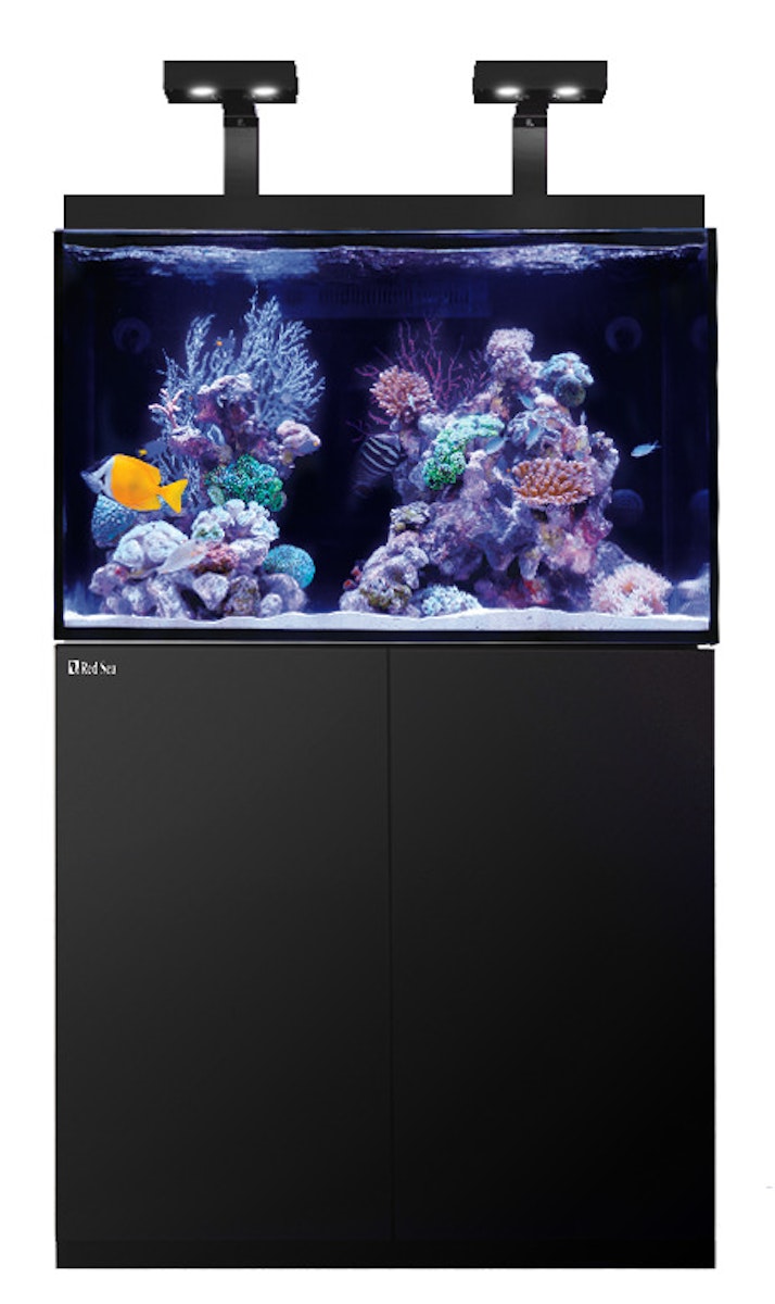 Red Sea MAX E 260 LED Aquarium mit Unterschrank für Meerwasser schwarz