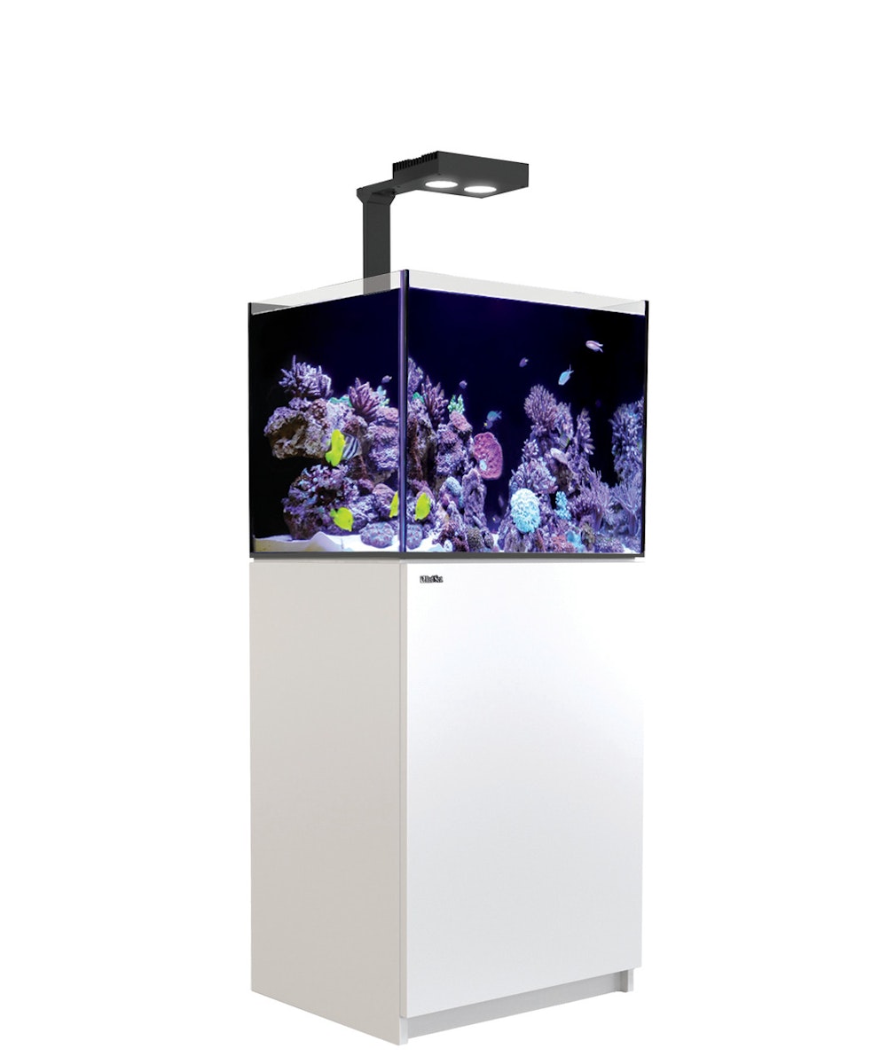 Red Sea REEFER 170 Deluxe (G2 - Modelljahr 2022) 1 x LED 90 Meerwasseraquarium mit Unterschrank von Red Sea