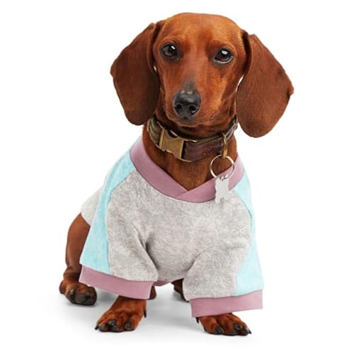 Reddy Hunde-T-Shirt, Größe S, Grau von Reddy