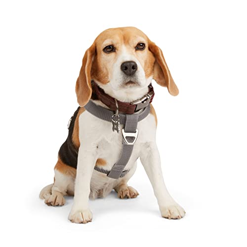 Reddy Hundegeschirr, reflektierend, Größe XL/XXL, Grau von Reddy