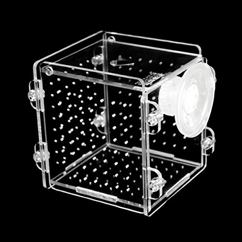 Aquarium Fisch Zuchtbox, Zucht Isolationsbox, Transparent Acryl Aquarium Isolation Box mit Saugnapf, Fisch Brutkasten für Baby Fisch Garnelen Betta von Refein