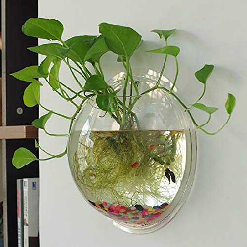 Wall Fish Bowl, Clear Acrylic Round Fish Tank Flower Pot Vase Decoration Fish Tank Flower Pot Aquarium Wall Plant Pot Hanging Hydroponic Pot 5.9 Inch (Mirror 15cm) von Reheyre