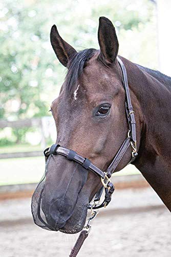 Reitsport Amesbichler Nasenfliegenschutz für Pferde Nüsternschutz Insektenmaulnetz schwarz Pony von Reitsport Amesbichler