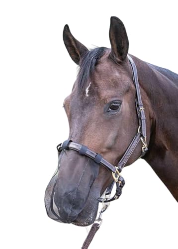 Amesbichler Reitsport Pferde Nasenfliegenschutz Fliegen Nüsternschutz Insektenmaulnetz schwarz Warmblut von Amesbichler Reitsport