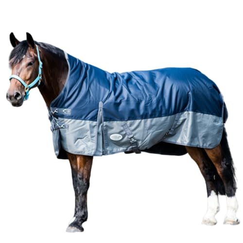 Pferdedecke 1200D High Neck 50g, 100g, 200g Weidedecke Winterdecke Regendecke Turnout : 100g Black/Blue 125 von ReitsportPlus