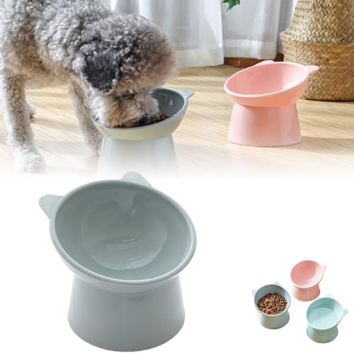 Ergonomic Cat Bowl, 45° Tilted Cat Food Bowl, Elevated Cat Food Bowl, Tall Pet Dog and Cat Food Bowl Puppy Cat Bowl (Grey) von Rejckims