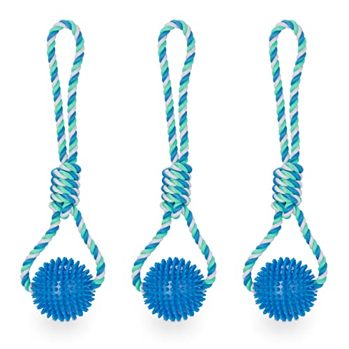 Relaxdays Hundespielzeug Ball mit Seil, 3er Set, Wurfball für Hunde, Ø 8,5 cm, Hundeball Zahnpflege, Schleuderball, blau Relaxdays Hundespielzeug Ball mit Seil, 3er Set, Wurfball für Hunde, Ø 8,5 cm, Hundeball Zahnpflege, Schleuderball, blau von Relaxdays