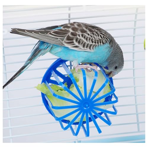 Papageien-Futterstation – Ausgehöhlter Vogel-Futternapfständer, Vogelkäfig-Futterhalter | Hängender Vogelkäfig-Napfständer, Futter- Und Obsthalter, Haustier-Vogelzubehör(BLUE2) von RenDiuJups