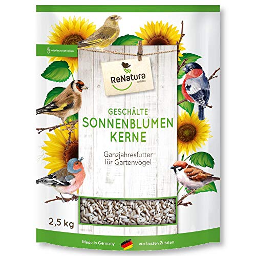 ReNatura Geschälte Sonnenblumenkerne 2,5 kg Vogelfutter Wintervogelfutter von Renatura Vogelwelt