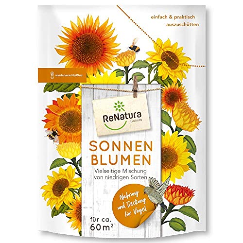 ReNatura Sonnenblumen Helianthus debilis/annuus 0,3kg niedrig von Renatura