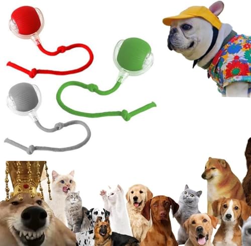 Interaktives Katzenball Spielzeug - Elektrisch Katzenball Katzenspielzeug | Katzen Sprint Ball | Indoor Katzenspielzeug Elektrischer Katzen Spielzeug Für Interaktion, Drinnen, Spielen, Kleine Katze von Renchey