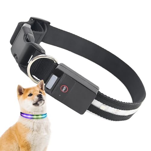 Renchey Leuchtendes Hundehalsband,LED-Hundehalsband - Wiederaufladbares LED-Hundehalsband, bunt leuchtendes Halsband - Leuchtende Hundehalsbänder, Hundehalskette für Outdoor, Spazierengehen, Damen, von Renchey