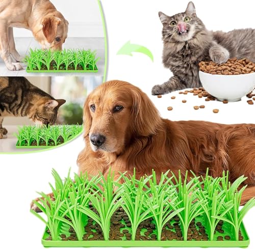 Silikon-Grasmatte Für Katzen | Schnüffel Matte Für Katzen | Futter Matte Für Katzen | Katzen Grasmatte Für Hauskatzen | 36,1 X 16,9 cm Interaktive Rutschfestes Haustierfütterungsmatte Für Katzen von Renchey