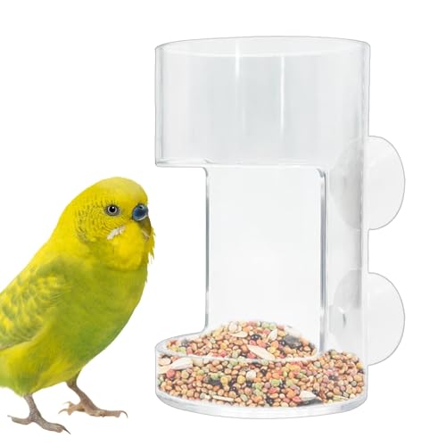 Aquarium Futterrohr, garnele Futterrohr, Fischfutterspender Für Aquarien, Klarer Aquarium-Futterspender, Saugnapf Betta Feeder Futterspender, garnele-Futterschale, Transparente Futtermittel 6X6X10cm von Renopfect