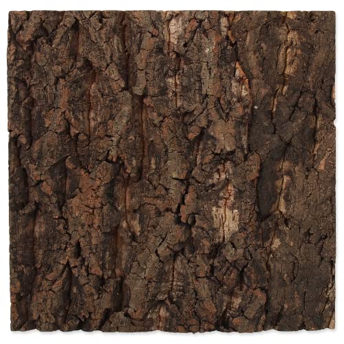 ReptiPlanet Background Cork Natural 28,5x28x2cm von ReptiPlanet