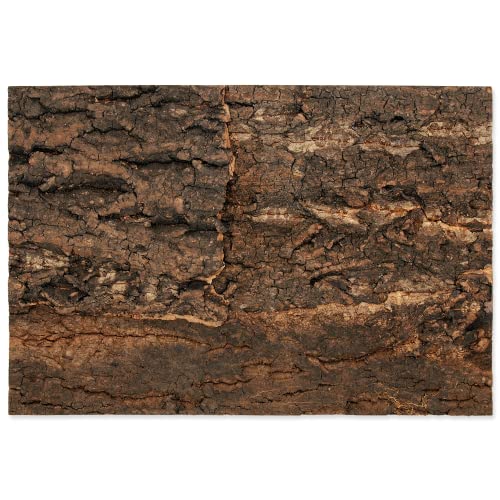 ReptiPlanet Background Cork Natural 28,5x41x2cm von ReptiPlanet