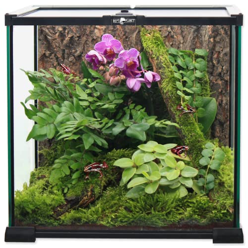 ReptiPlanet Glas Terrarium 20x20x20cm ReptiPlanet Glas Terrarium 20x20x20cm von ReptiPlanet