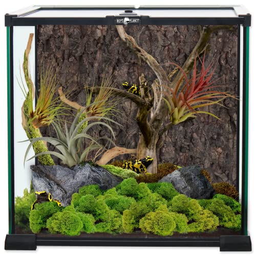 ReptiPlanet Glas Terrarium 30x30x30cm von ReptiPlanet