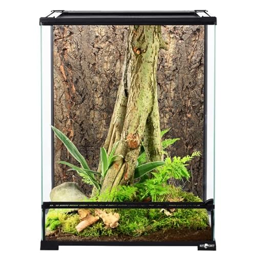 ReptiPlanet Glas Terrarium 45x45x60cm von ReptiPlanet