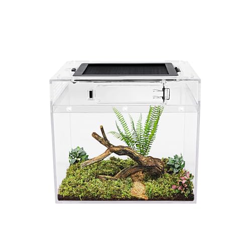 Mini-Reptilien-Terrarium, 20,3 x 20,3 x 20,3 cm, Mini-Reptilienbecken mit voller Sicht, visuell ansprechend, explosionsgeschütztes Glas, für Reptilien und Amphibien von Reptile Growth