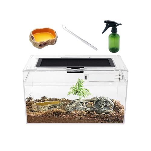 Mini Reptil Terrarium Set,12 "x 7" x 6" niedriges Reptilienbecken mit voller Sicht optisch ansprechend, für Insekt, Fisch, Tarantel, Einsiedlerkrebs, Springspinne, Leguan, Schildkröte, Leopard Gecko von Reptile Growth